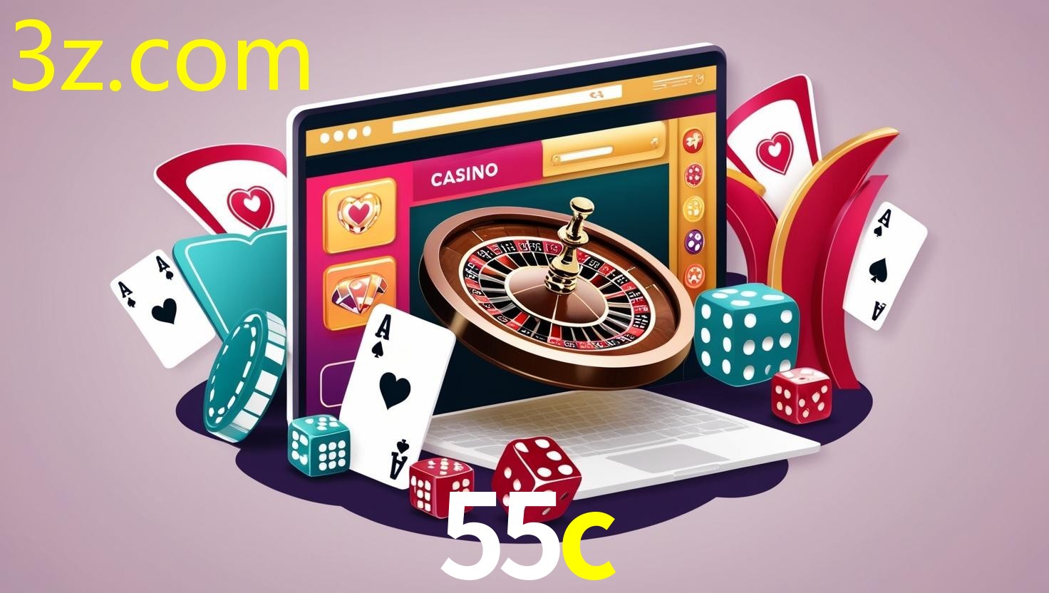55C.COM