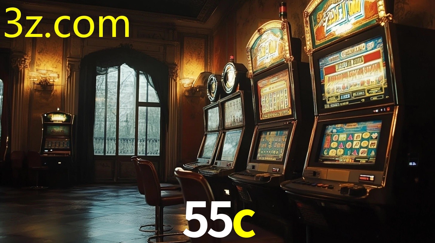 55C.COM