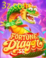 55C.COM