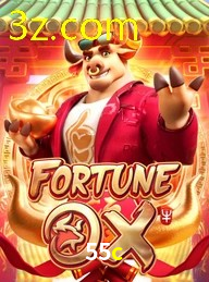 55C.COM