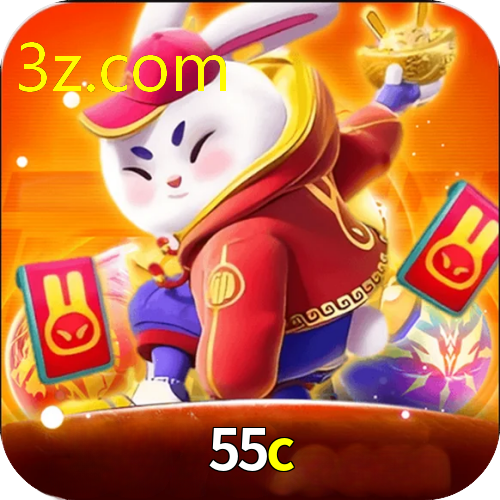 55C.COM